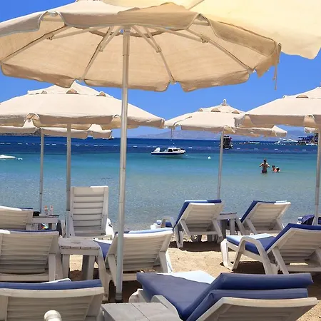 ホテル Sah ビテツ